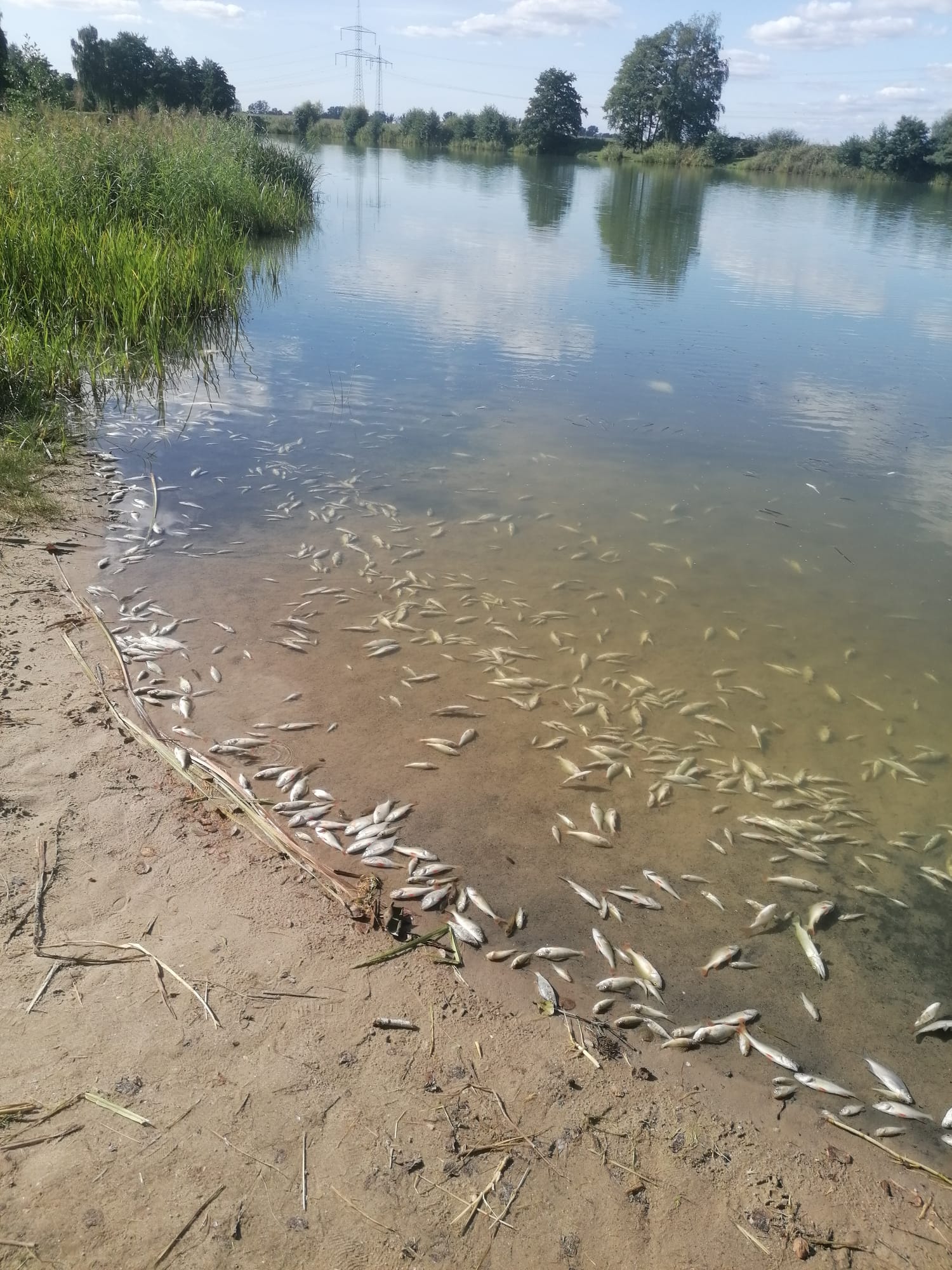 Sauerstoffmangel 2023